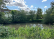 A calm pond surrounded by lush green trees and bushes under a blue, cloudy sky.
