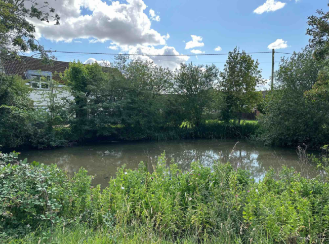 A calm pond surrounded by lush green trees and bushes under a blue, cloudy sky.